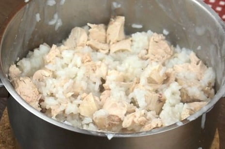 Best Homemade Cat Foods for Weight Gain: Chicken and Rice