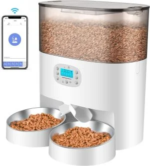 Best Automatic Cat Feeder For Multiple Cats In