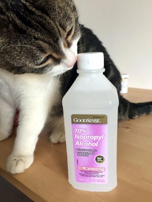 Is the smell of Rubbing Alcohol Bad for Cats?