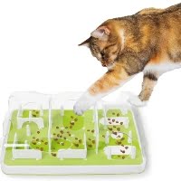 Best interactive feeders for cats