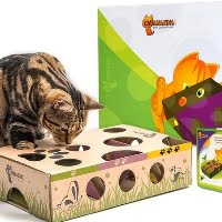 Best interactive feeders for cats