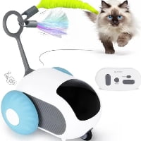 best remote control cat toy