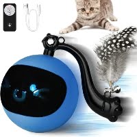 best remote control cat toy