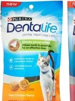 Best Dental Chews For Cats: Keep Those Gummy Smiles Alive 5