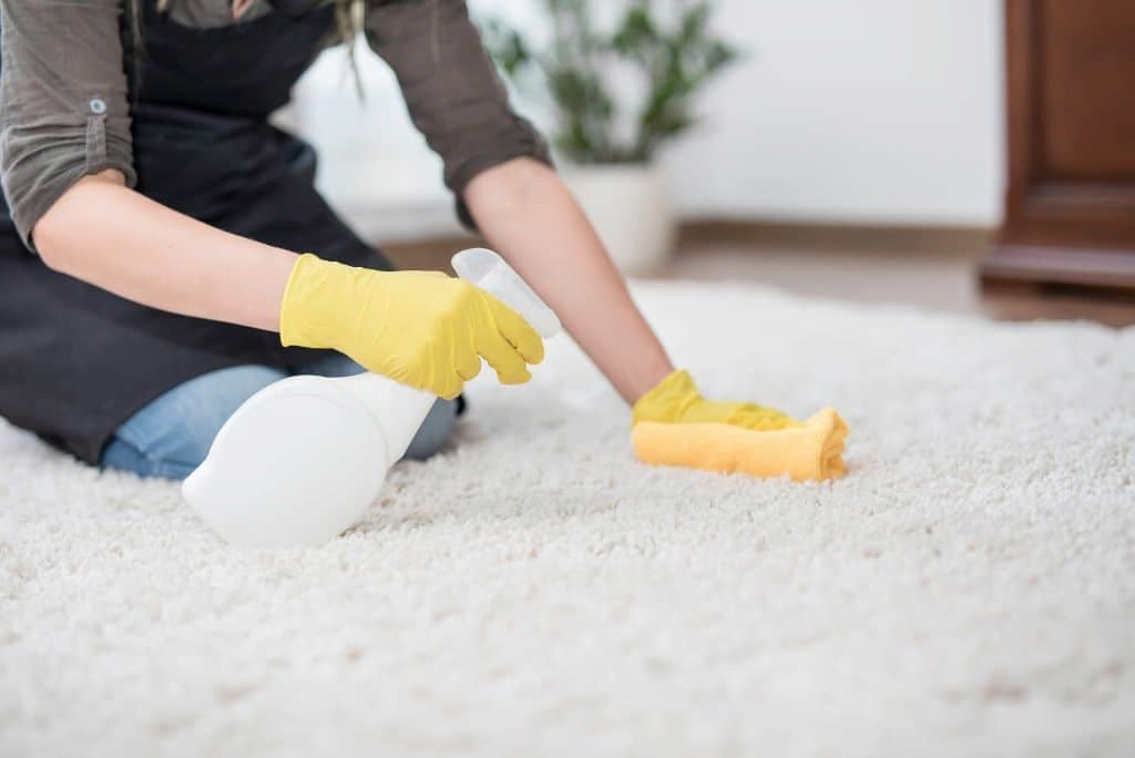 How to Clean Cat Pee With Vinegar in 5 Easy Steps 5 Clean Cat Pee With Vinegar