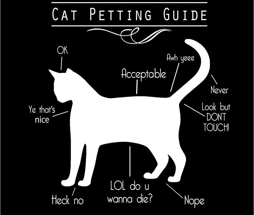 Petting Guide