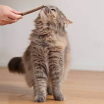 Are Matatabi Sticks Safe For Cats?