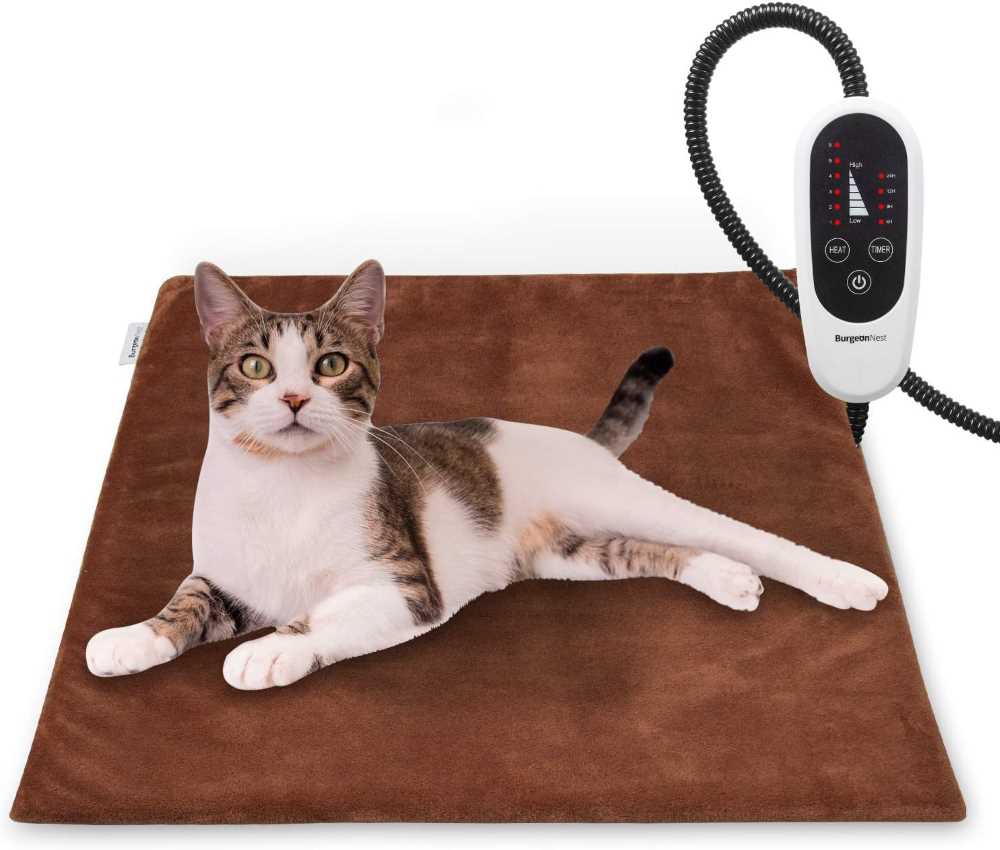 Heating pad for cats with arthritis