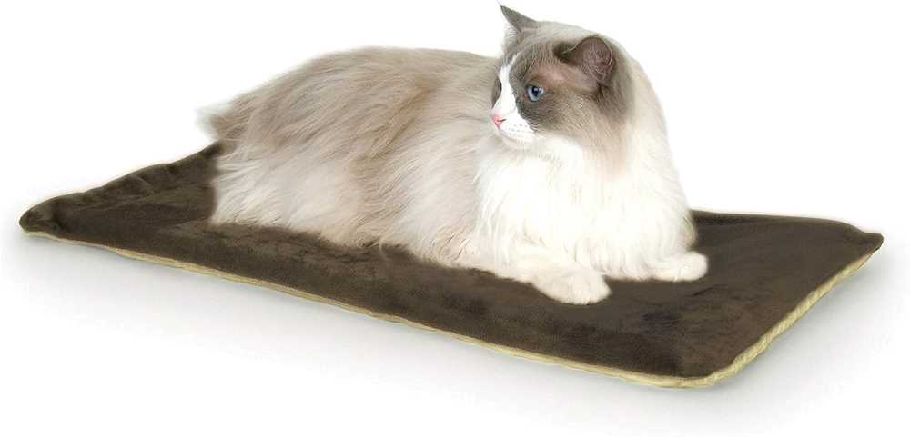 Cat sitting on heating pad