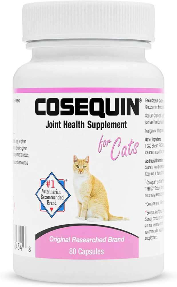 Best Arthritis Supplements For Cats (Vet Approved) THE CAT SPACE