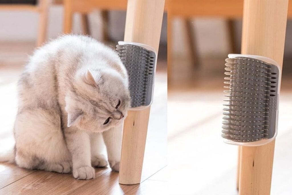 self grooming brush for cats